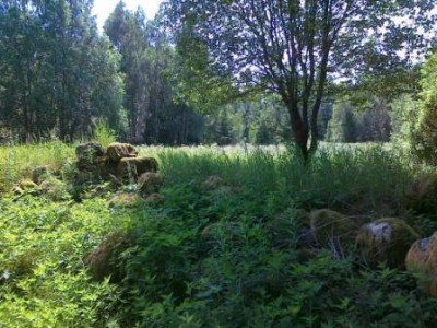 06062013323.jpg