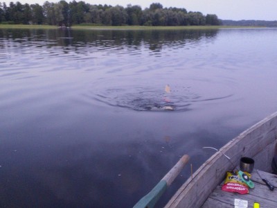WP_001645.jpg