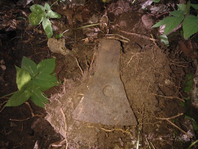 WP_000711.jpg