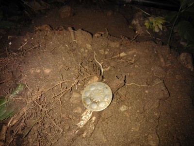WP_000712.jpg