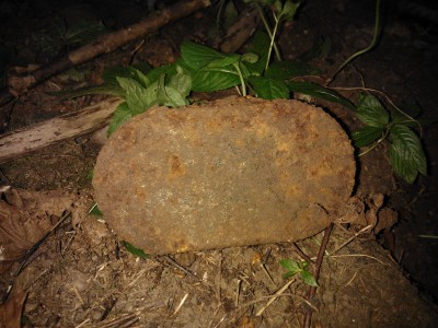 WP_000716.jpg