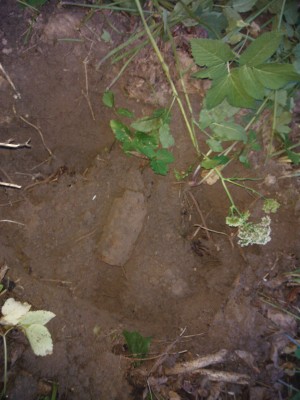 WP_000737.jpg