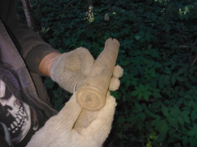 WP_000738.jpg