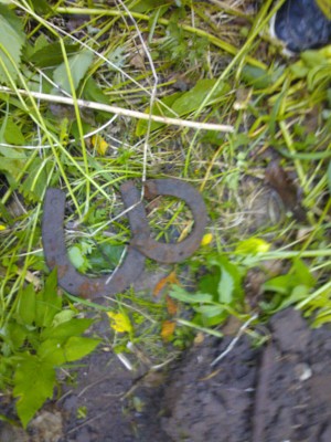 WP_000739.jpg