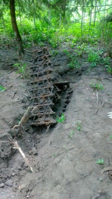 WP_20130623_018 (Medium).jpg