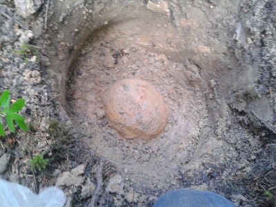 20130622_085950.jpg