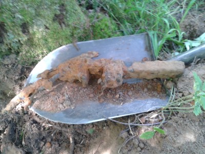 20130622_133509.jpg
