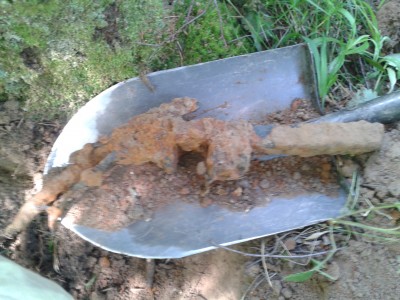 20130622_133518.jpg