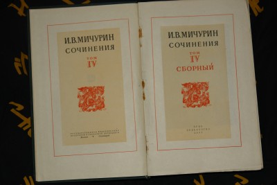 DSC00003.JPG