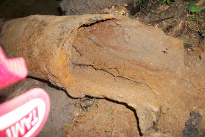 100_4453.JPG