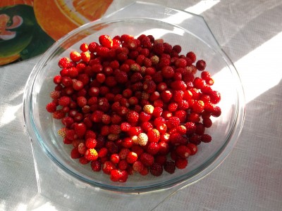 DSCF4012.JPG