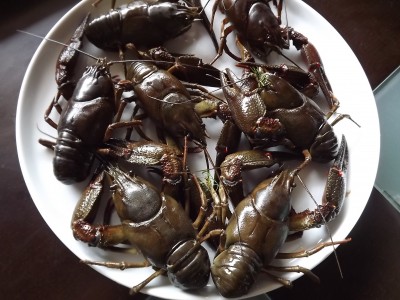 DSCF8091.JPG