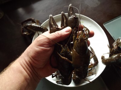 DSCF8092.JPG