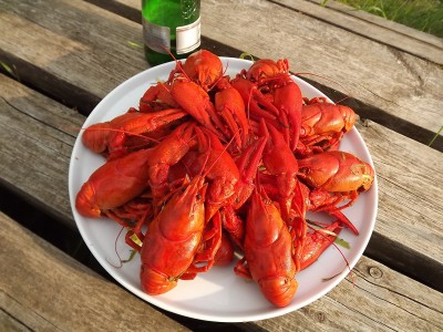 DSCF8107.JPG
