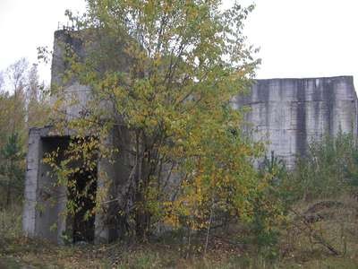 Picture 015.jpg