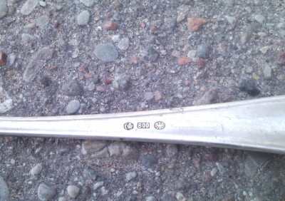 SNC00411.jpg