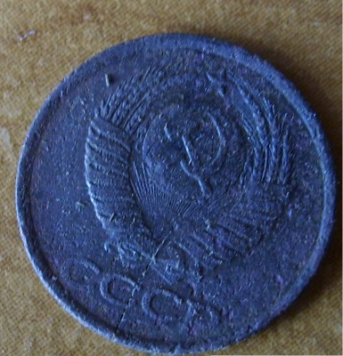 S6000851.JPG