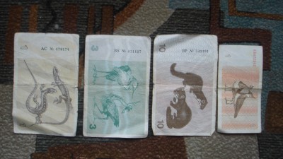 Picture 109.jpg