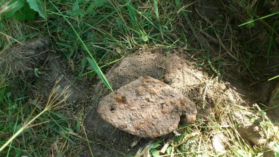 DSC_0570.jpg