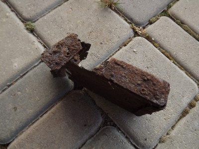 DSCF8365.JPG