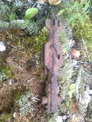 Fotoattēls0279.jpg