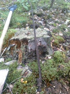 Fotoattēls0274.jpg