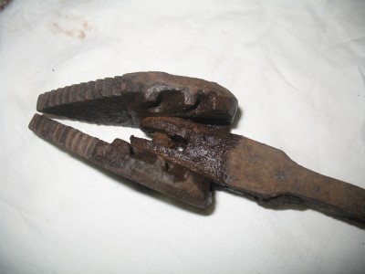 Picture 206.jpg
