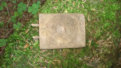 DSC_0129.jpg