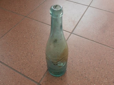 P8120001.JPG