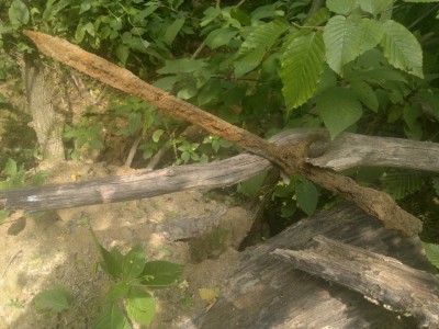 2013-08-16-1465.jpg