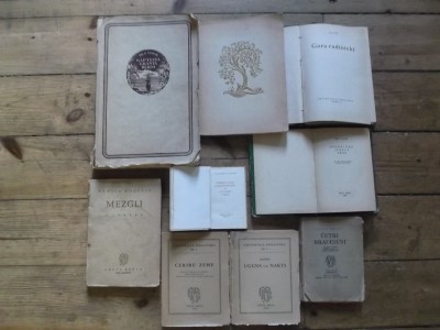 BURTON 006.JPG