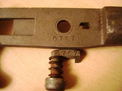 aacbn 003.jpg