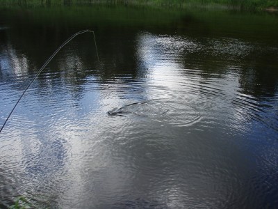 P5280034.JPG