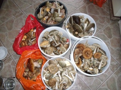 DSCF5731.JPG