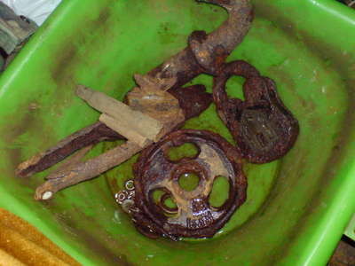 DSC00874.JPG