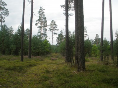 P8130546.JPG