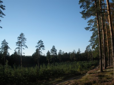 P8230630.JPG