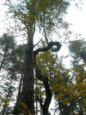 PA070668.JPG