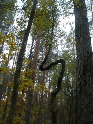 PA070670.JPG