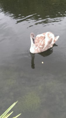 IMAG0593.jpg