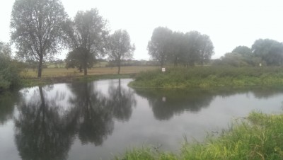 IMAG0599.jpg