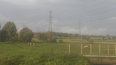 IMAG0607.jpg