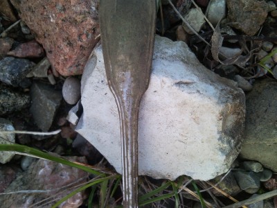 SNC00623.jpg