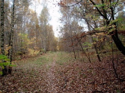 PA233930.JPG