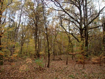 PA233933.JPG