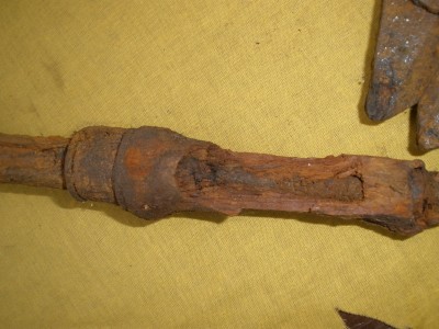 PB020654.JPG