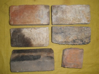 PB020681.JPG