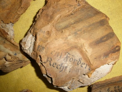 PB020689.JPG