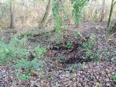 PB053974.JPG