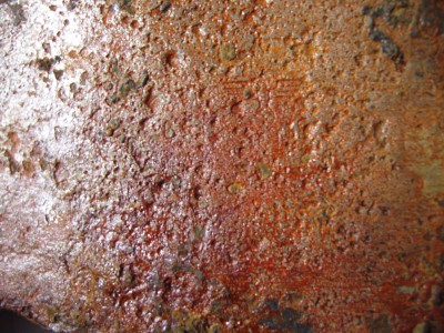 P1010077.JPG